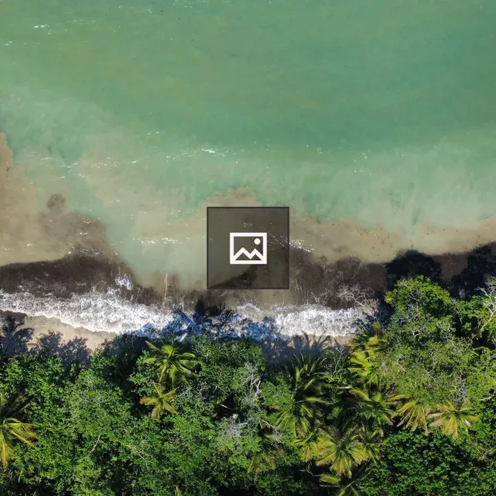 Aerial Beach with Green Shoreline