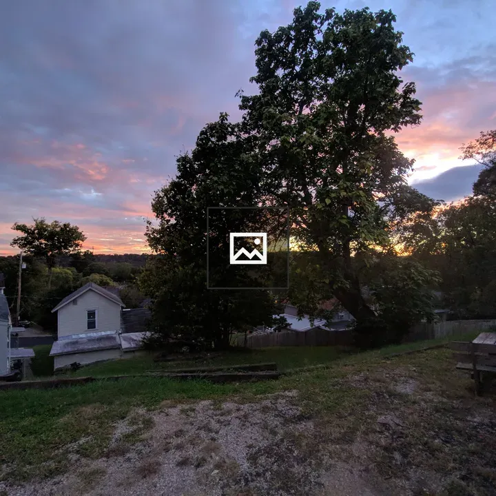 Tree at Sunset in Midwestern Landscape