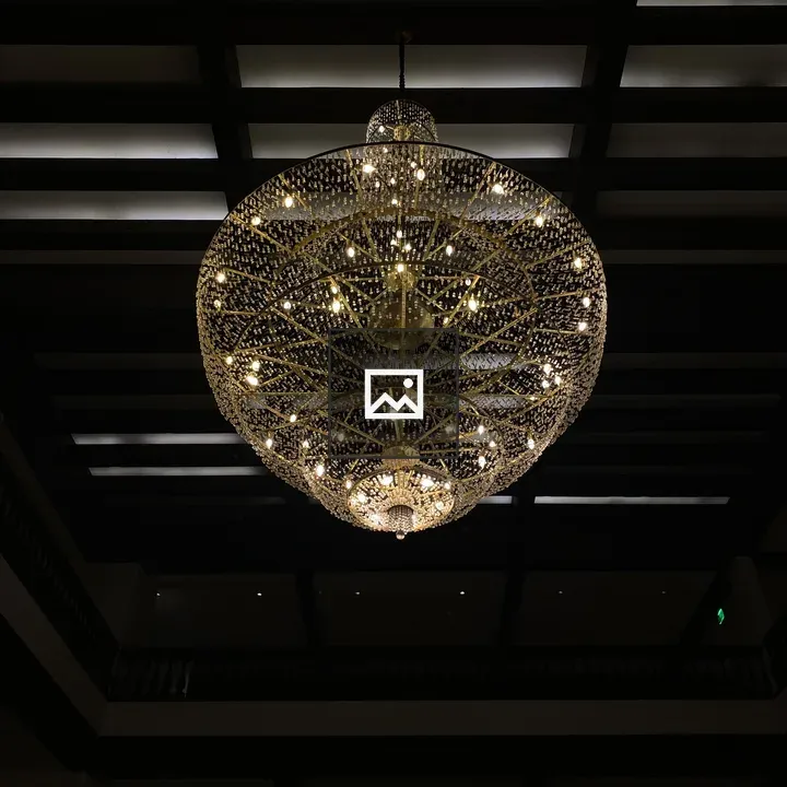 Ornate chandelier in dark ceiling