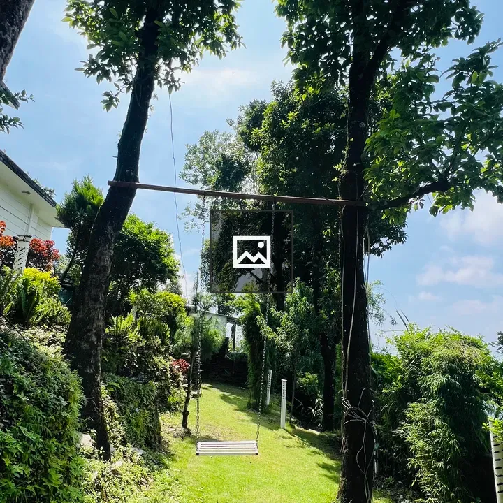 Swing Hanging in Backyard