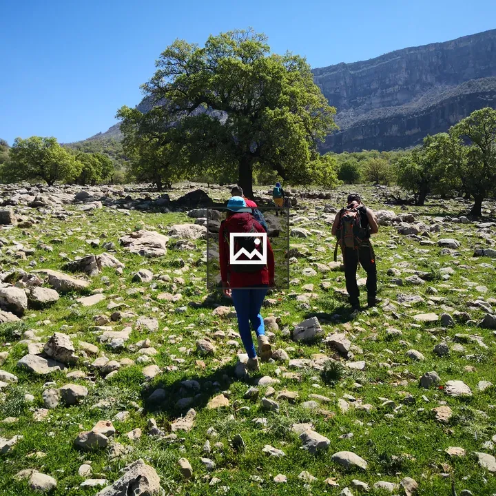 Hikers on rocky green field toward trees