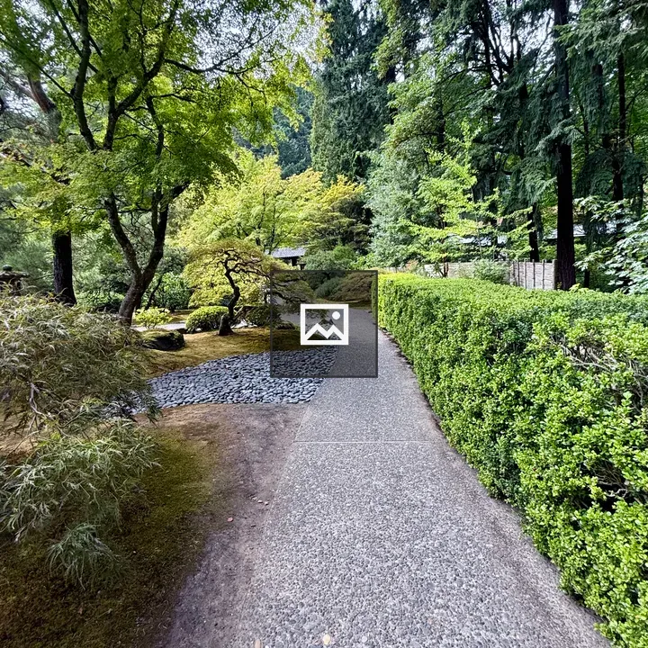 Winding gravel path in garden
