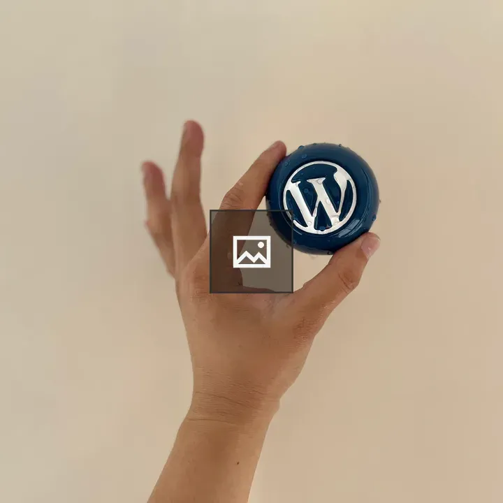WordPress Blue Ball