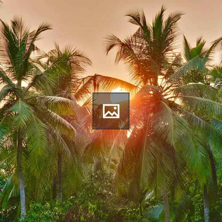 Sunset Behind Palm Trees