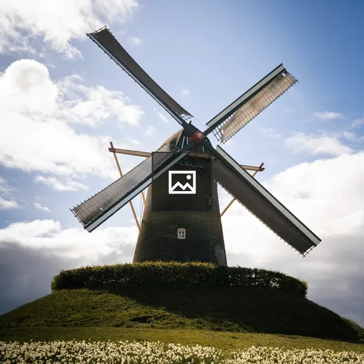 Dutch windmill with flowers