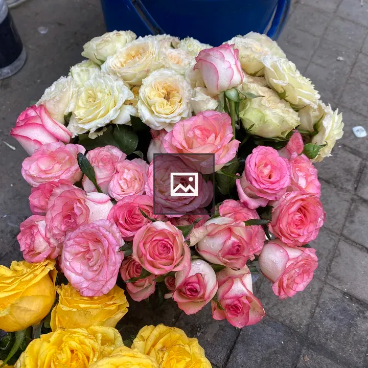 Bouquet of Roses in Colorful Blooms