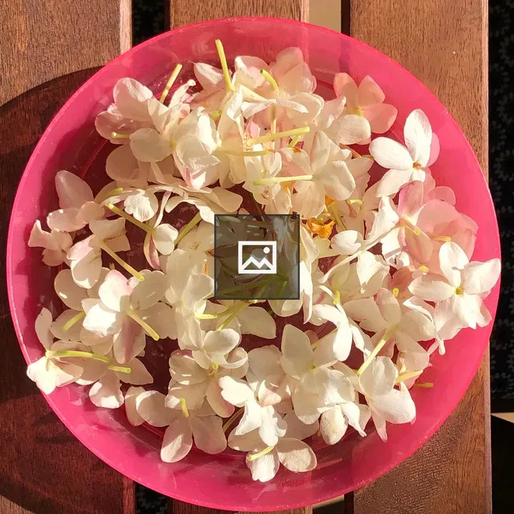 Jasmine flowers in pink bowl