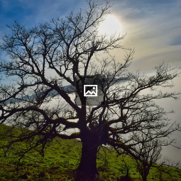 Mekanagadde village nature scene