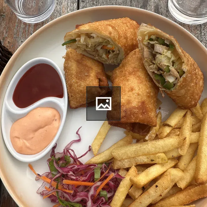 Plate of spring rolls with fries
