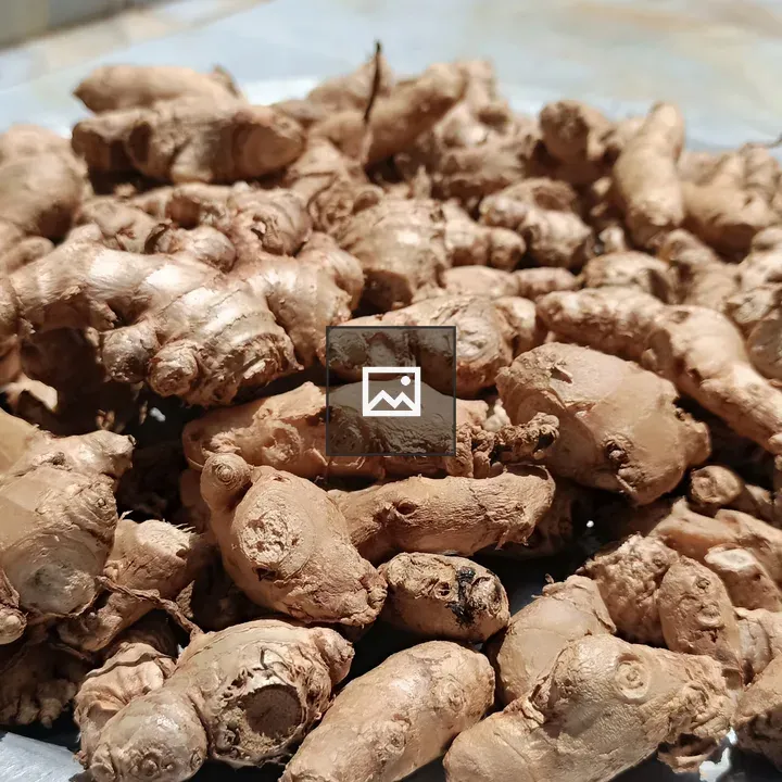 Ginger Roots on Tray