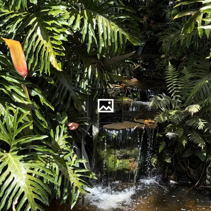 Vertical garden waterfall with tropical plants