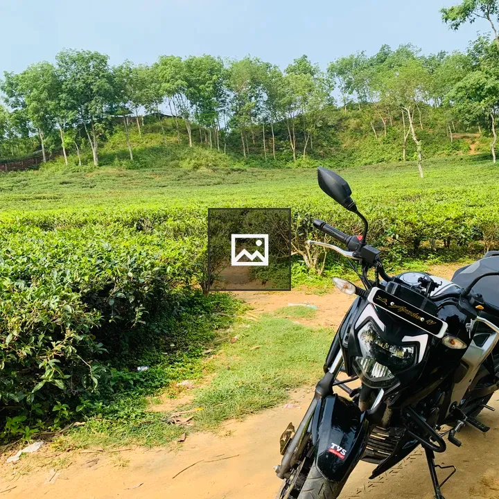Motorcycle beside tea plantation