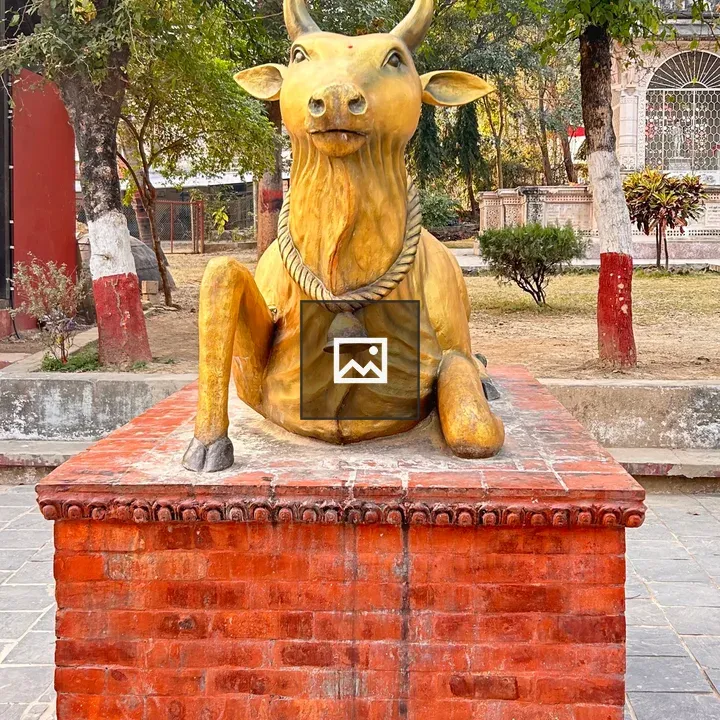 Golden cow statue on red pedestal