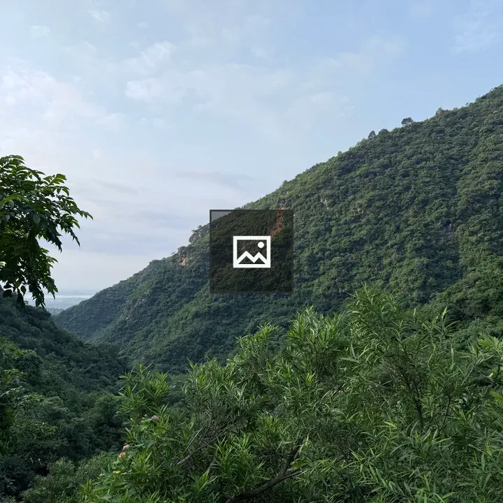 Valley with forested mountains