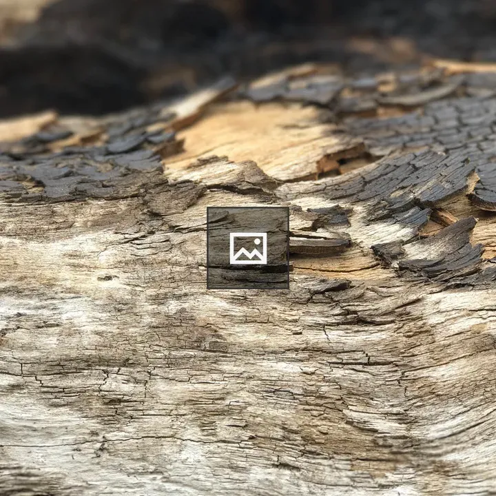 Driftwood Tree Bark