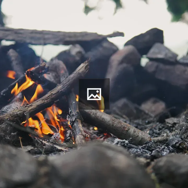 Campfire with Rocks and Logs