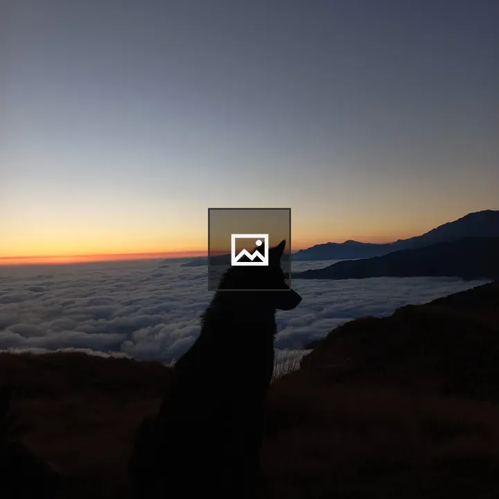 Dog Silhouette on Hill at Sunrise