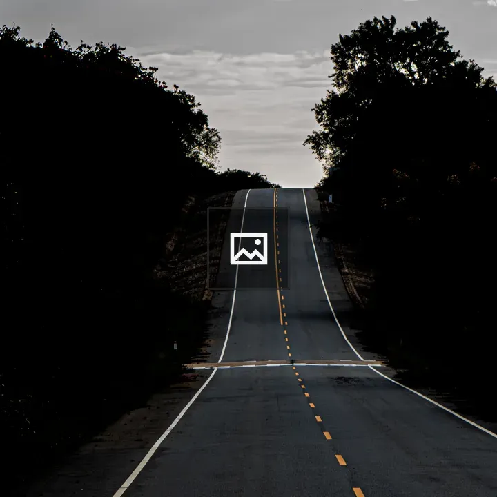 Long Gray Road into Forest