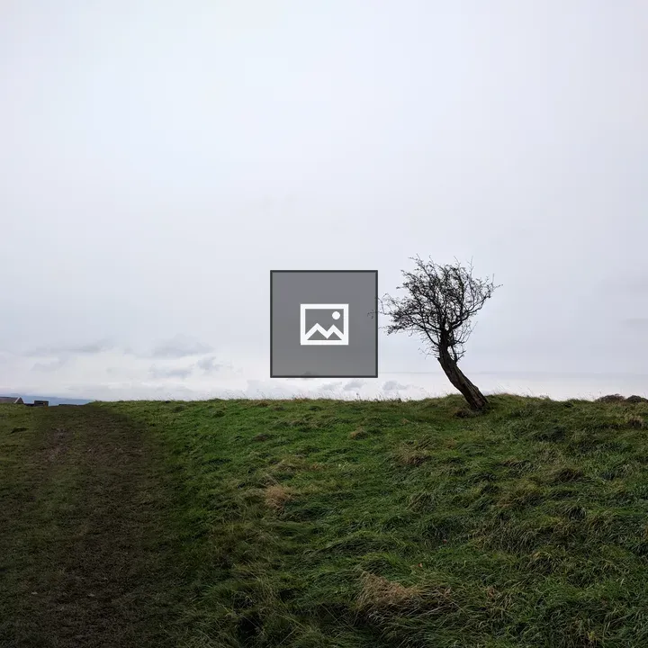 Twisted lone tree in meadow