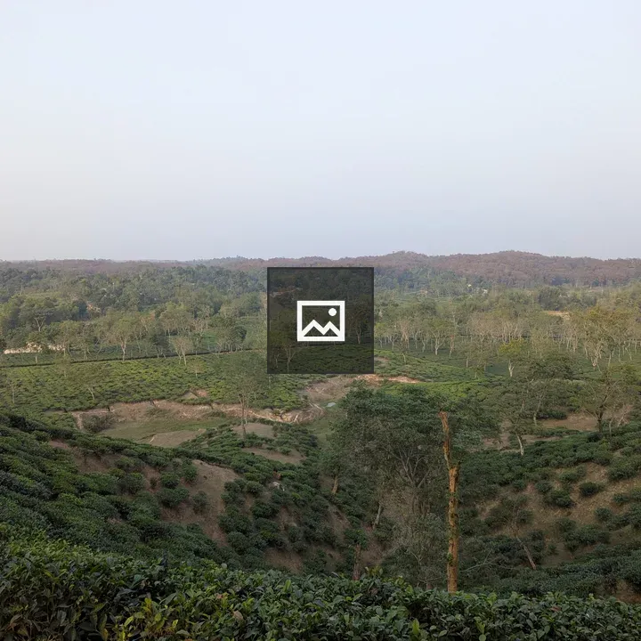 Scenic Tea Landscape