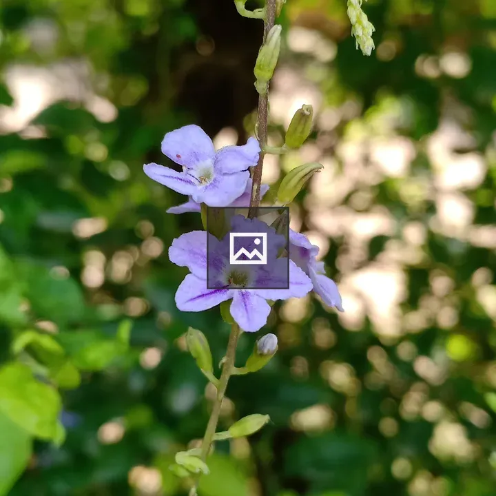 Flowers in Green and Purple
