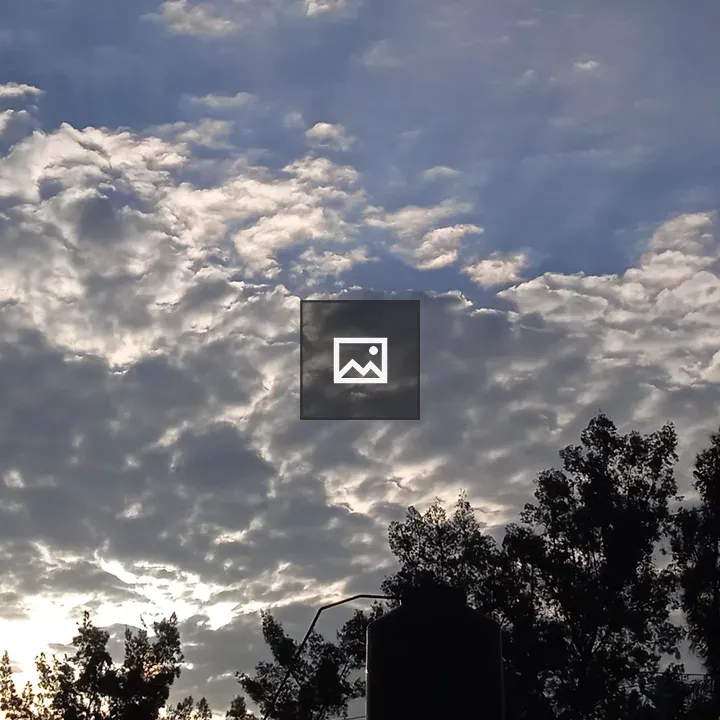 Cloudy sky with branches