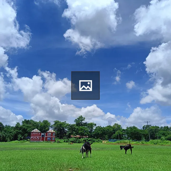 Goats Grazing Under Clear Sky