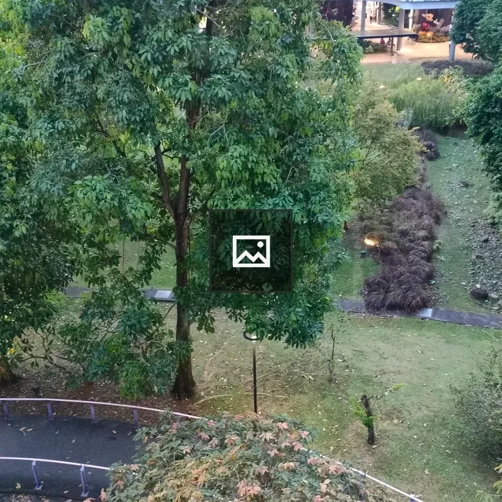 Green landscape with winding paths