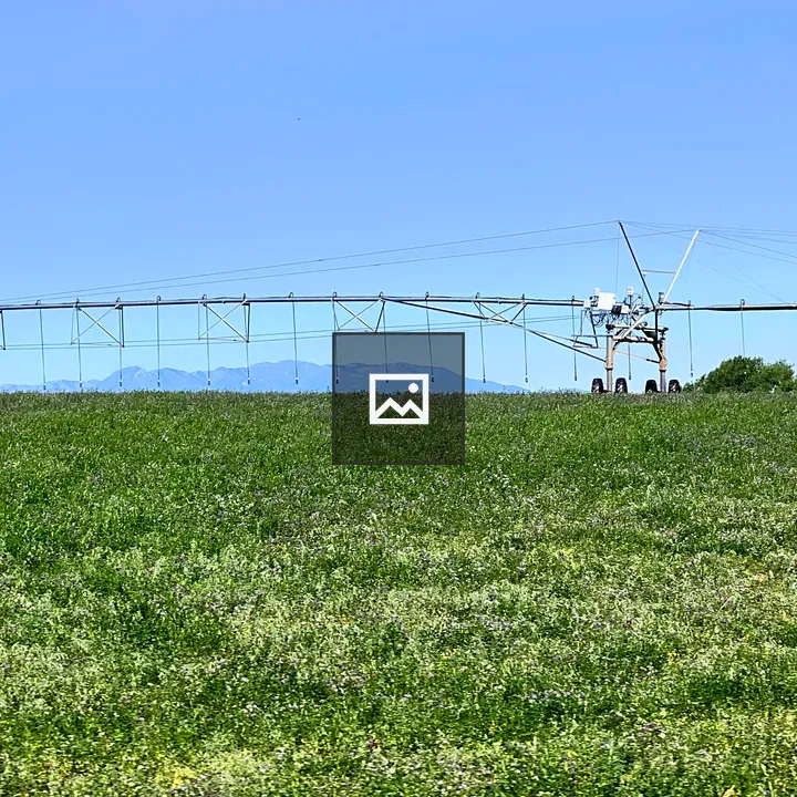 Overhead Watering Machinery Alfalfa Farm