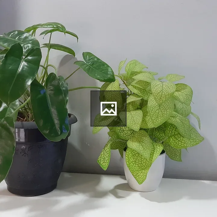 Two plants: real and fake