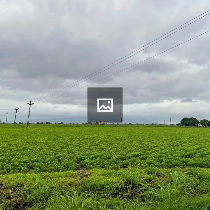 Green field with rainy cloud