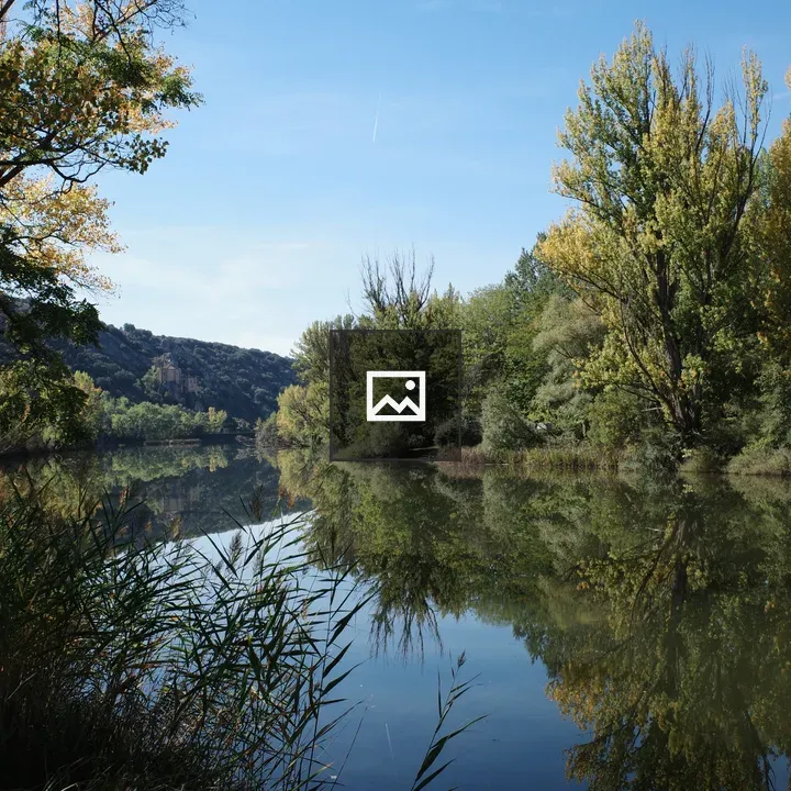 Trees and Reflections on Duero River