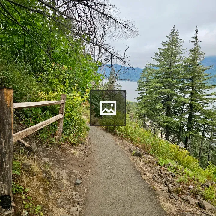 Forest Trail on Gorge Slope