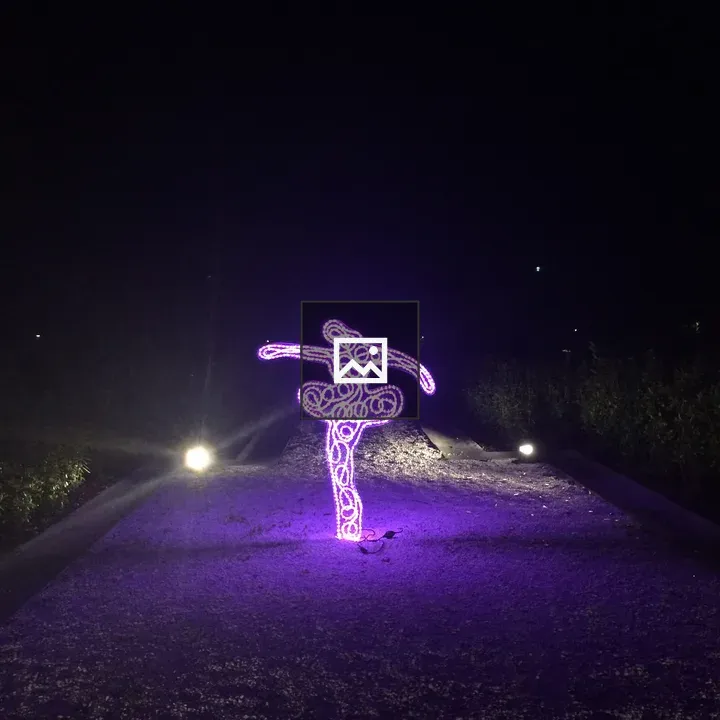 Purple rope lights ballerina
