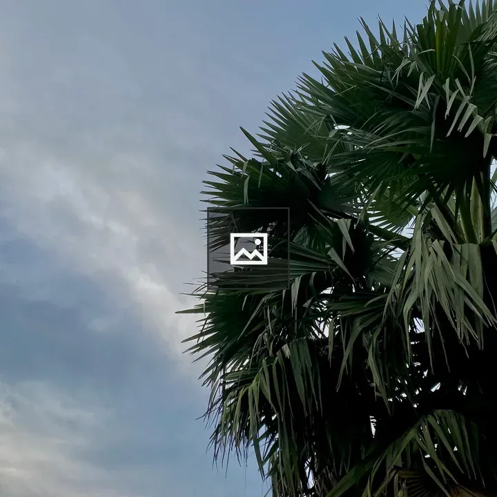 Palm Tree Silhouette at Dusk