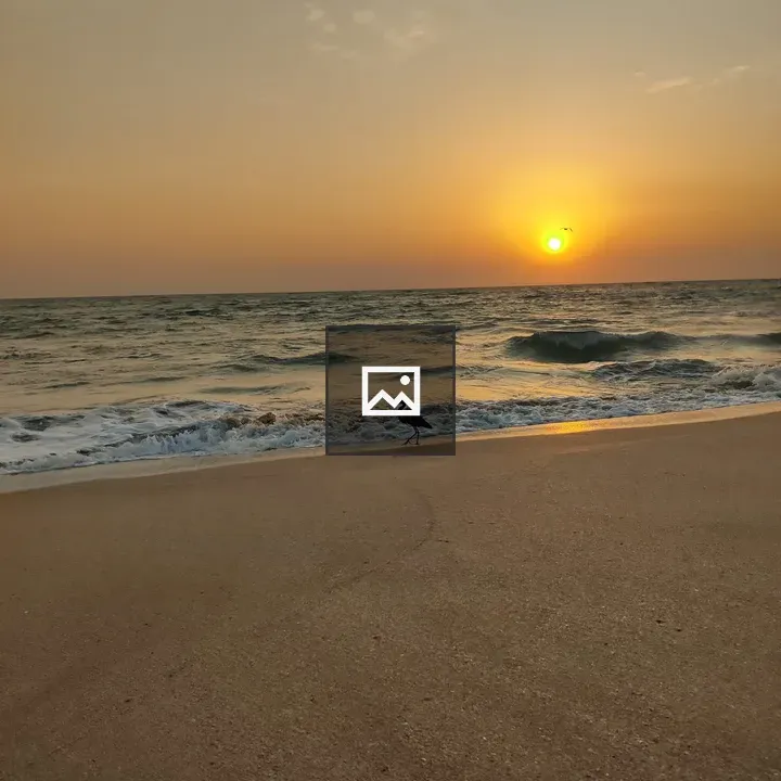 Heron on the Beach at Sunset