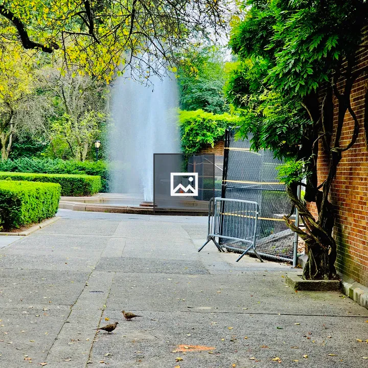 Water fountain with sparrows
