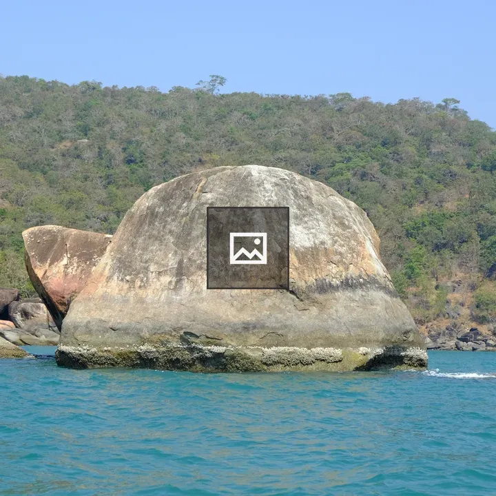 Turtle Island in Goa