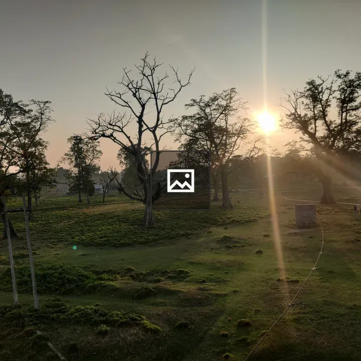 Sunset over green grassland