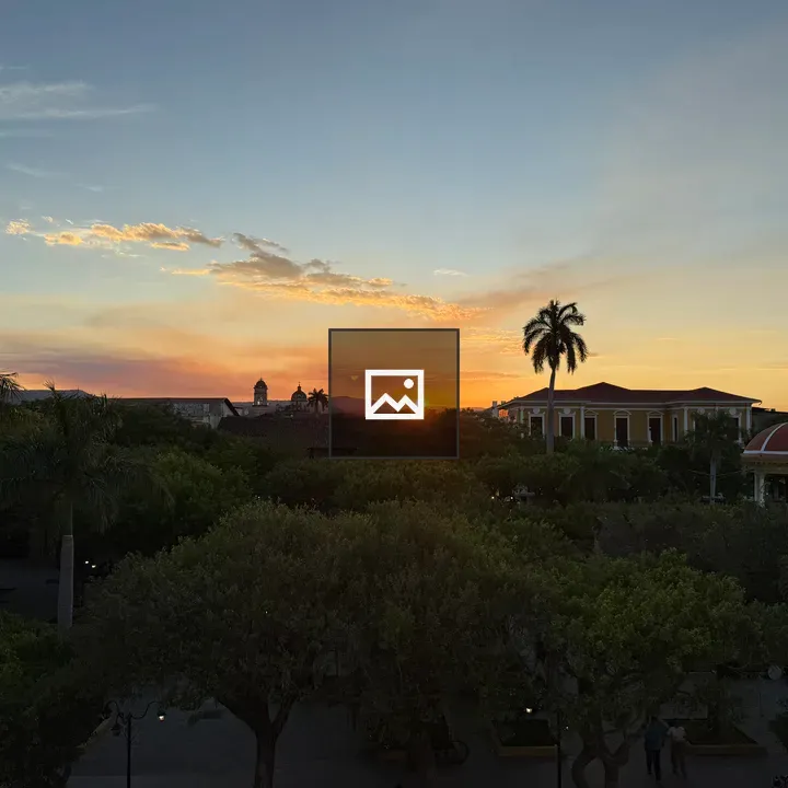 Tropical sunset silhouettes in Granada
