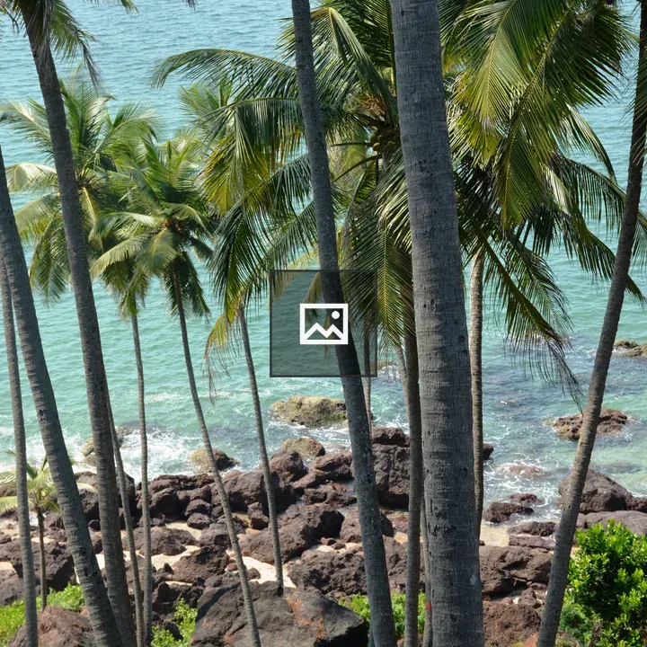 Beach near Cabo de Rama Fort