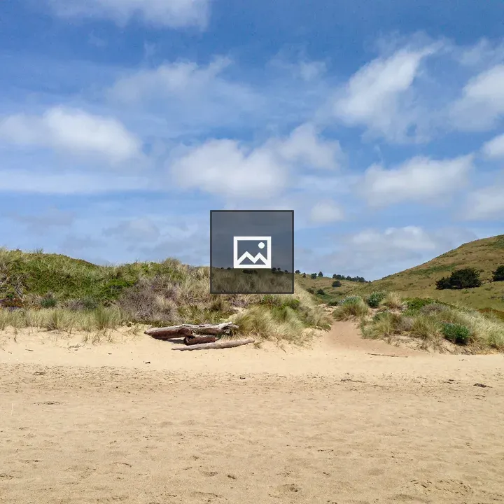 Sand dunes at Point Reyes Beach