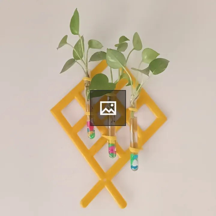 Three Sprouts in Planters