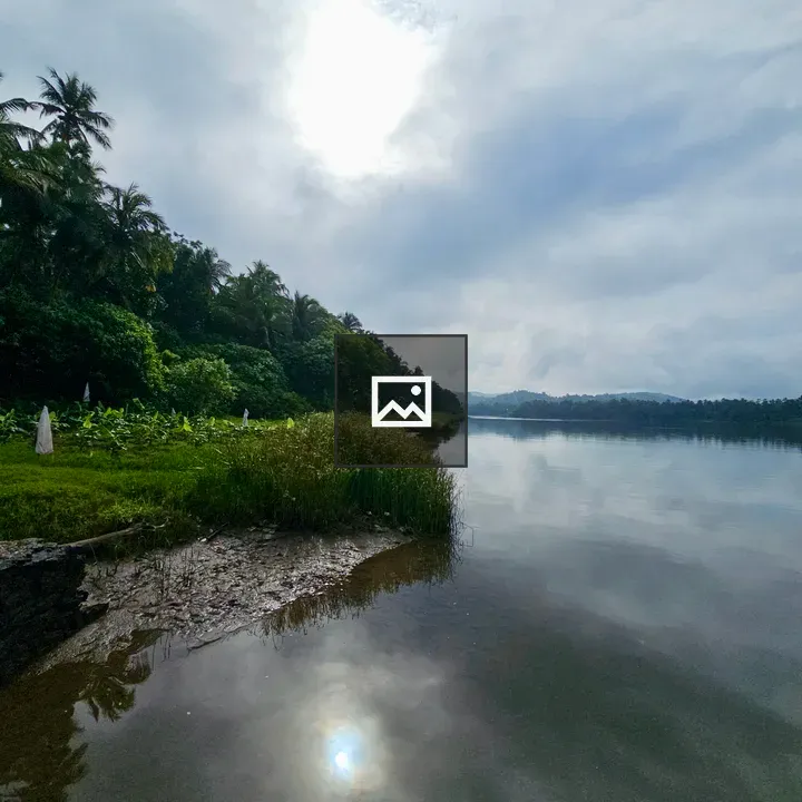 River Morning Light in Kerala
