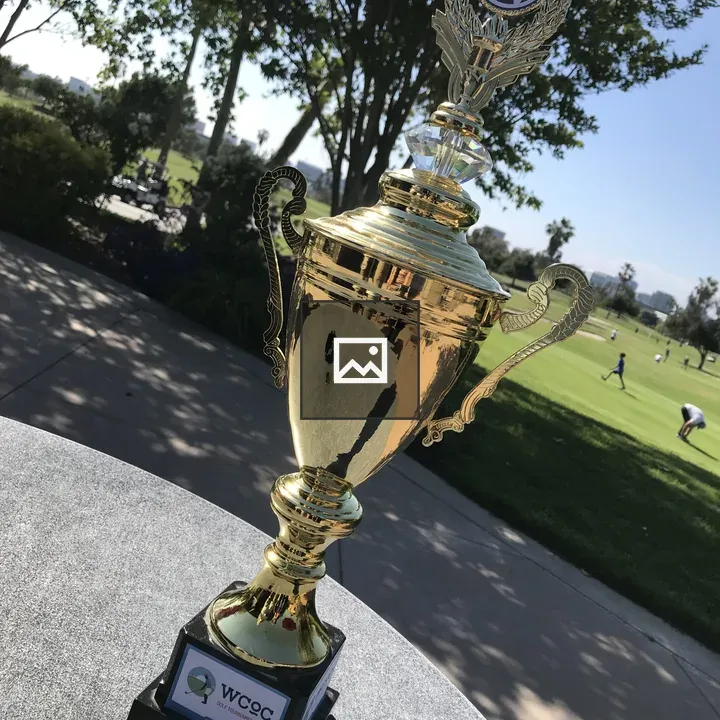 WordPress trophy image