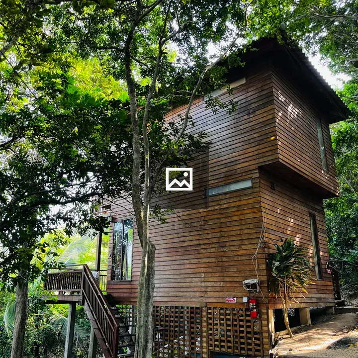 Treehouse on stilts in forest