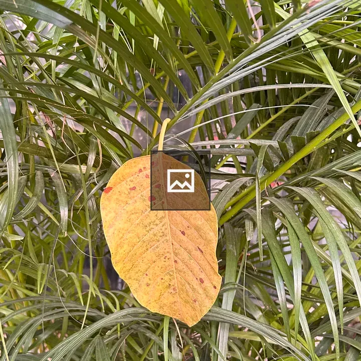 Yellowed leaf among palm fronds