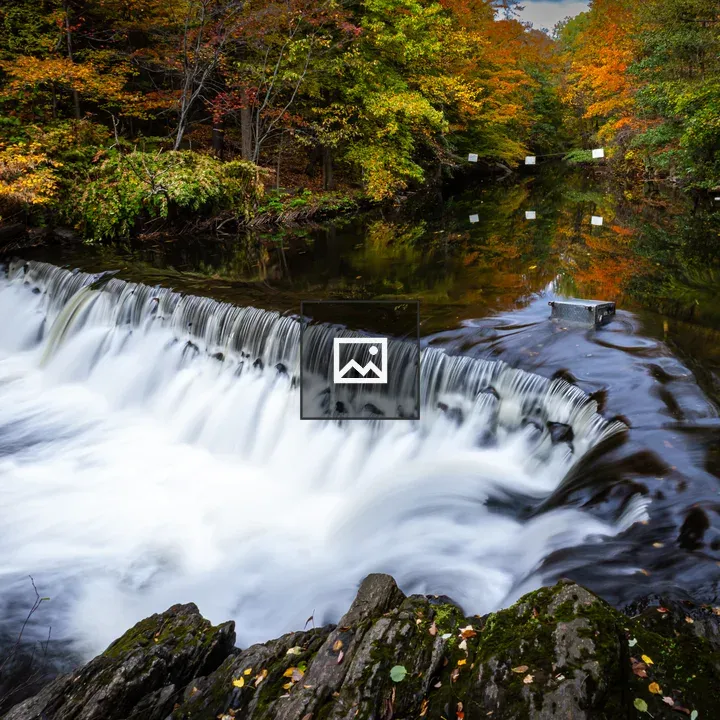 Waterfall with Changing Trees