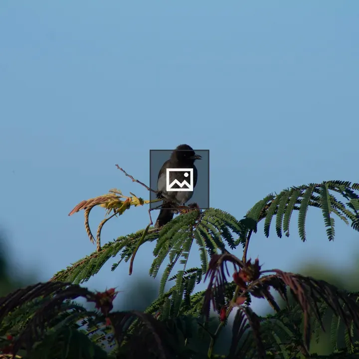 Bird on a green plant branch
