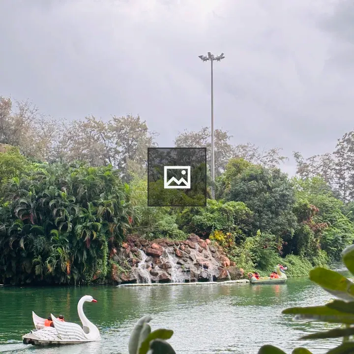 White swan paddle boat